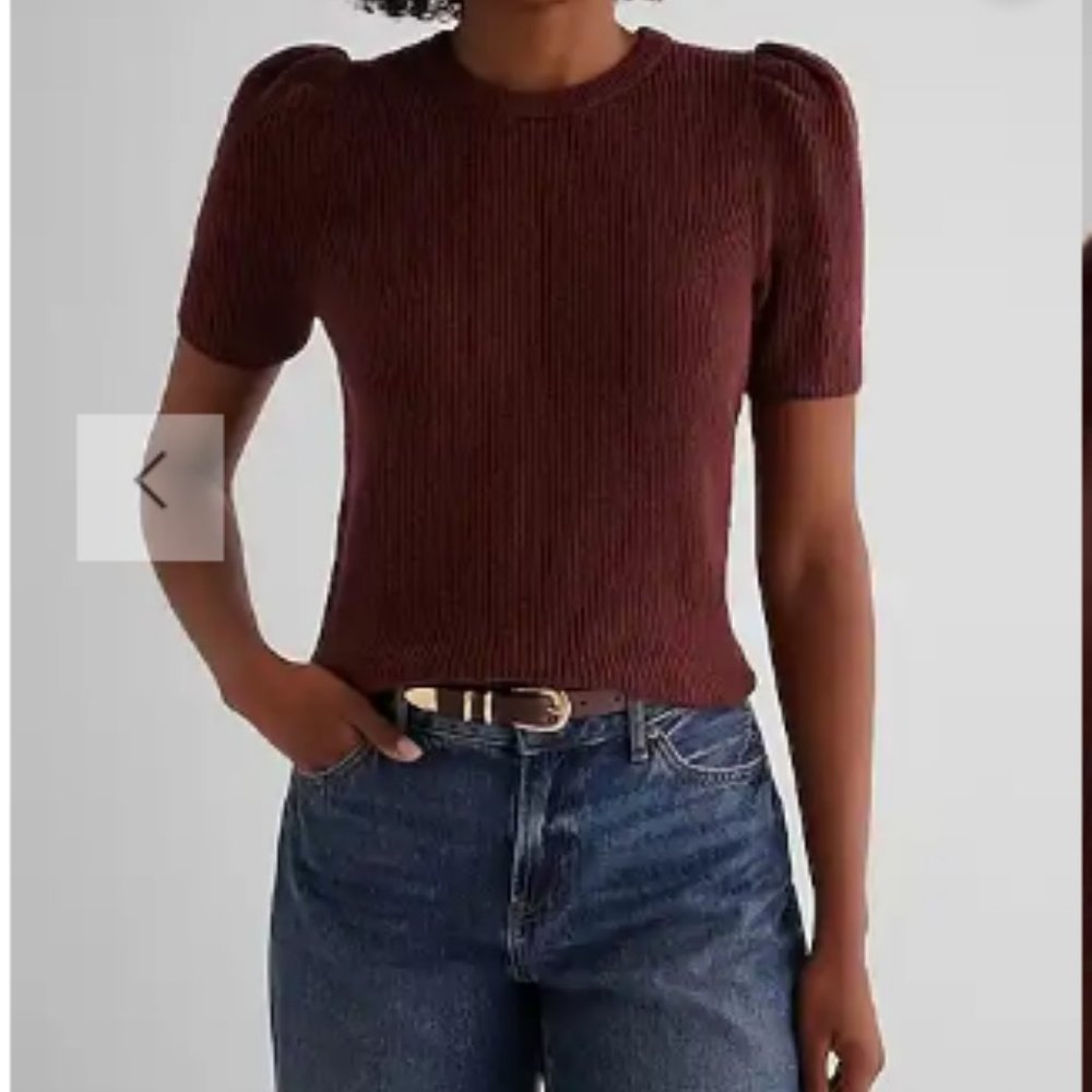 Express Puff Sleeve Sweater